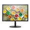 联想（Lenovo）ThinkVision T2224rF 21.5英寸液晶显示器 VGA/DVI接口 1920X1080分辨率 TN面板 屏幕比例16:9 三年保修