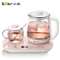 小熊（Bear）迷你养生壶养生杯mini烧水壶煮茶壶保温杯垫多功能花茶壶煮茶器电热水壶开水壶0.8升YSH-C08H2