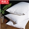 南极人NanJiren 枕头 高弹星级酒店枕芯 颈椎枕安睡枕头芯 单只装 一对拍2