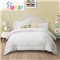 新一代暖宝抗菌羊毛被(被芯1件)(适合1.5米床)【全涤抗菌磨毛防羽/白】