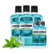 李施德林 (Listerine) 漱口水冰蓝劲爽口味清新口气深层清洁 (500mL*3瓶+100mL*2瓶)套装