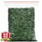 毛尖茶 茶叶绿茶2020新茶 雨前春茶一级浓香型炒青绿茶信阳原产毛尖茶散装袋装250克